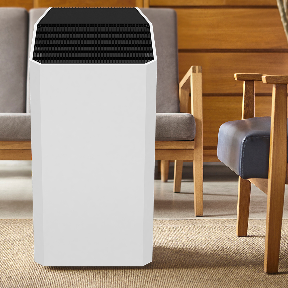 Найкраще видалити формальдегід, насолоджуйтесь свіжим повітрям BKJ-90C