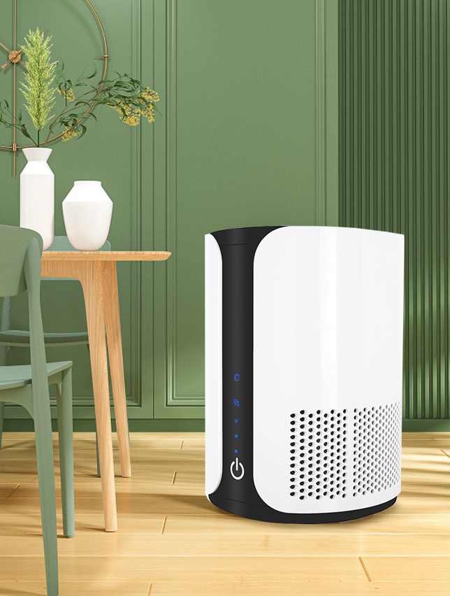 Найкраще видалити формальдегід, насолоджуйтесь свіжим повітрям BKJ-15