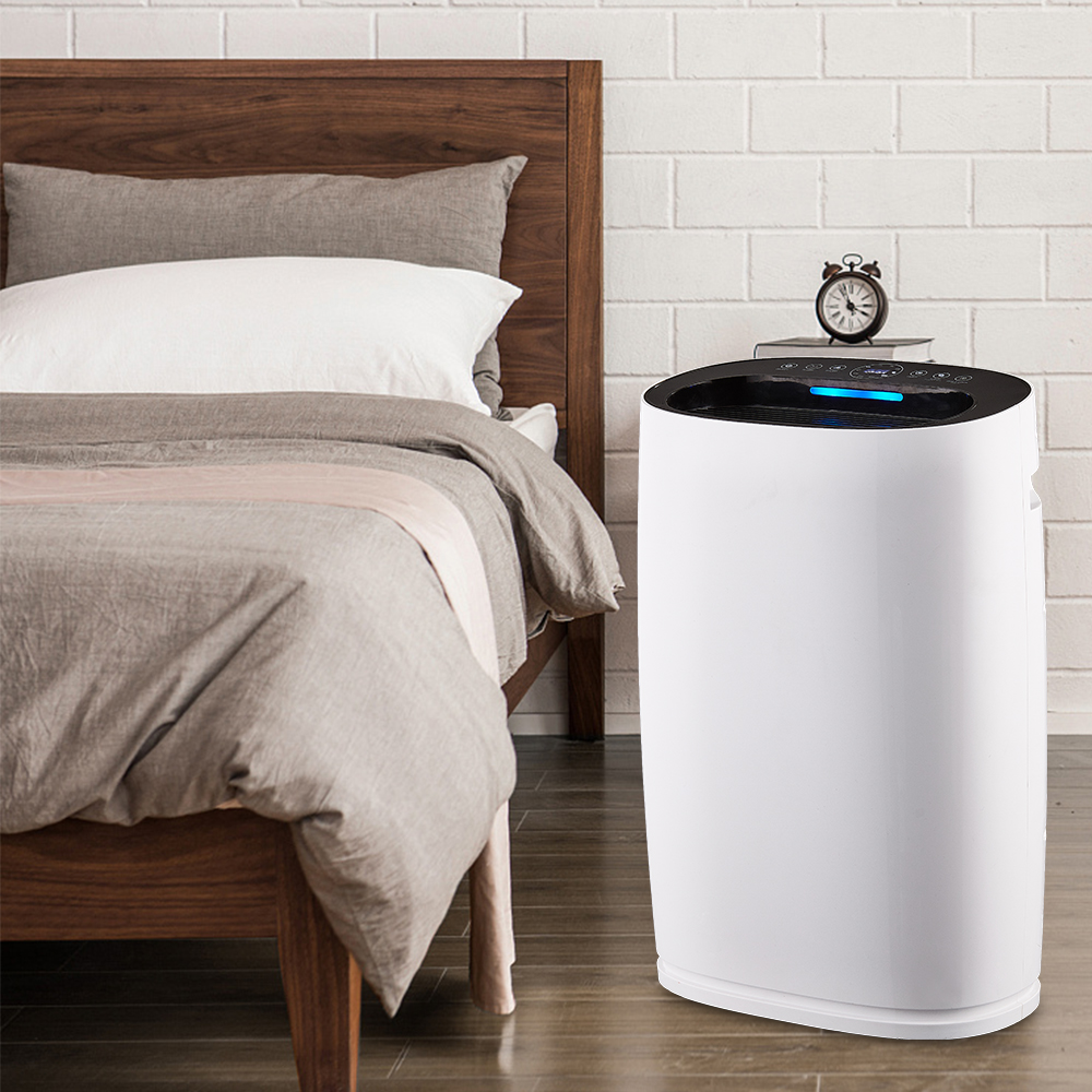 Найкраще видалити формальдегід, насолоджуйтесь свіжим повітрям BKJ-306