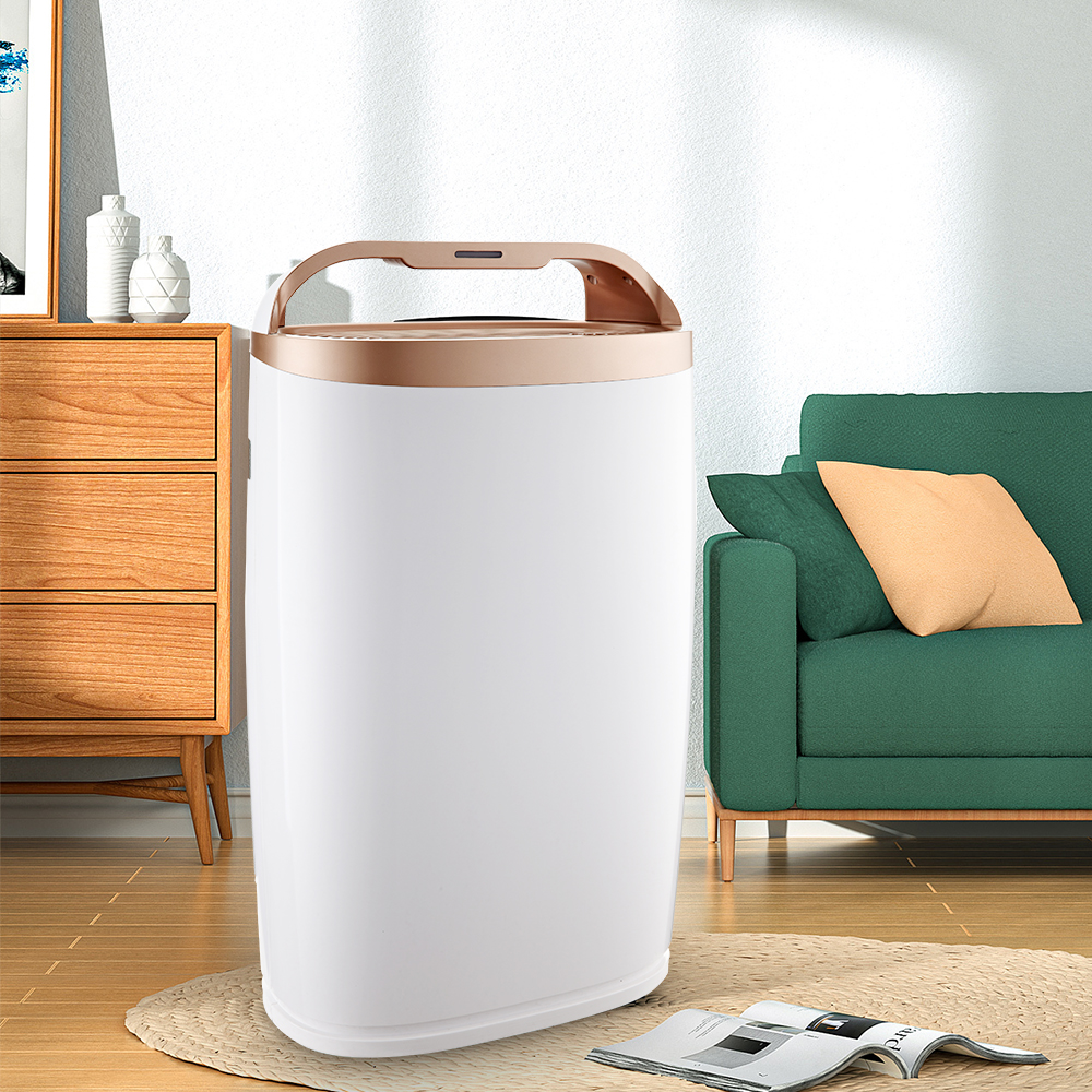 Найкраще видалити формальдегід, насолоджуйтесь свіжим повітрям BKJ-306a